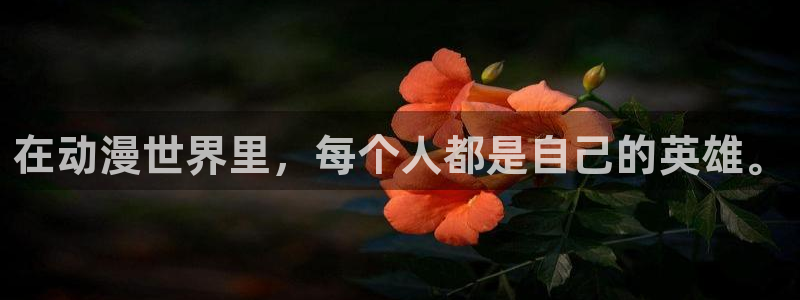 风车动漫风
