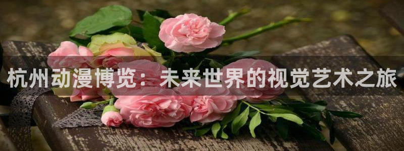 风车动漫6：杭州动漫博览：未来世界的视觉艺术之旅