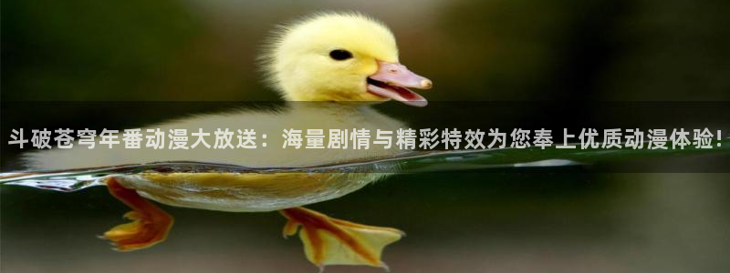 破解版风车动漫