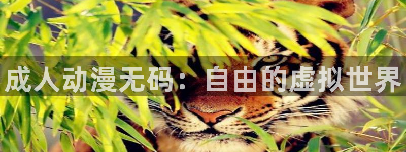 风车动漫在线免费入口：成人动漫无码：自由的虚拟世界