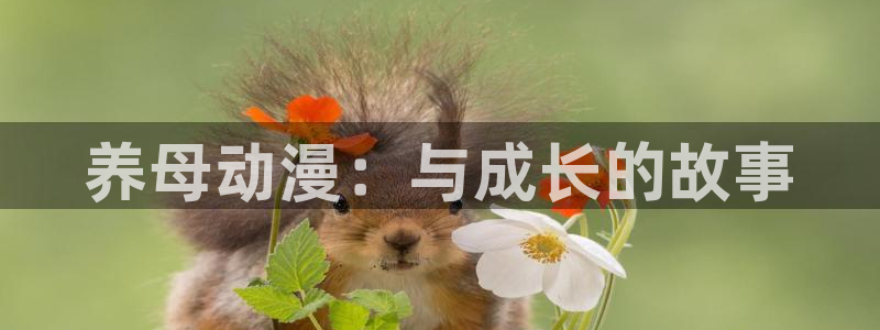 风车动漫官网动漫：养母动漫：与成长的故事
