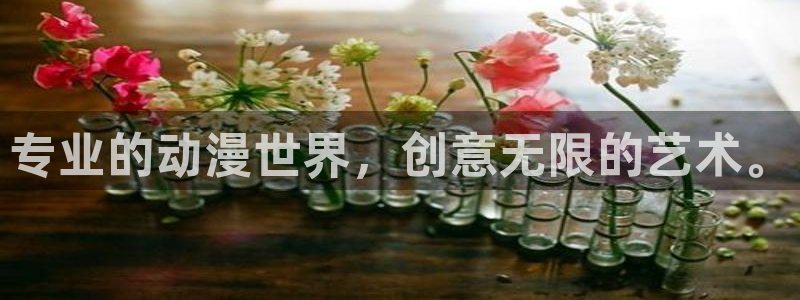 风车动漫免费高清观看：专业的动漫世界，创意无限的艺术。