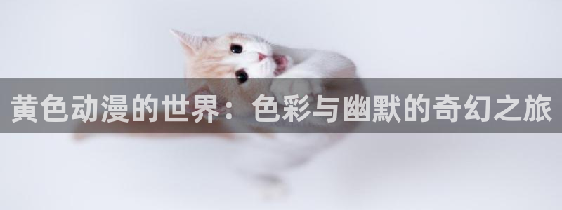 风车动漫海贼王：黄色动漫的世界：色彩与幽默的奇幻之旅
