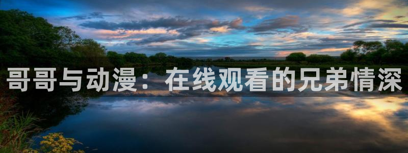 风车动漫手机网：哥哥与动漫：在线观看的兄弟情深