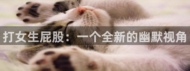 风车动漫2025最新版