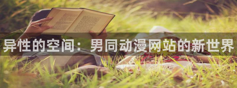 航海王免费观看风车动漫：异性的空间：男同动漫网站的新世界