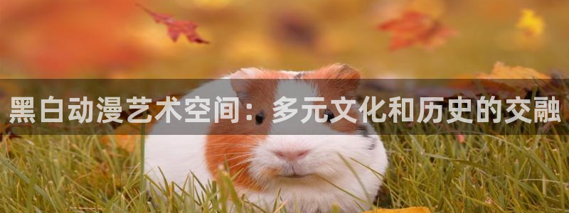 风车动漫手机专注动漫门户